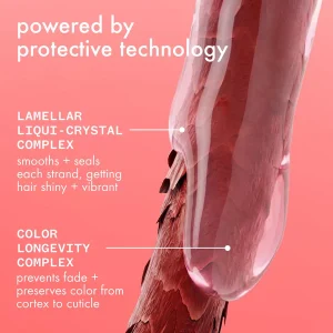 AMIKA The Protector Color Protect + Strengthen Shampoo